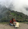 30/3 husky macchu picchu site.jpg